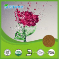 Best Selling High Quality wholesale Rose petals extract